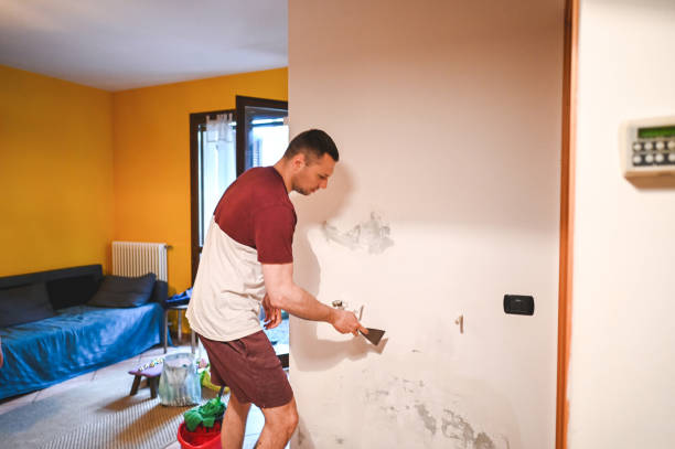Best Water Damage Restoration  in Ladysmith, WI