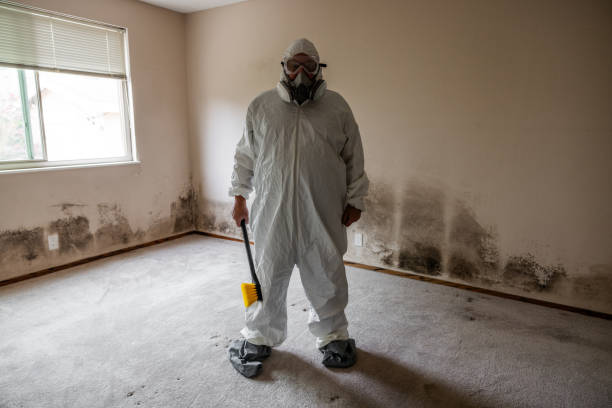 Best Office Mold Removal Services  in Ladysmith, WI